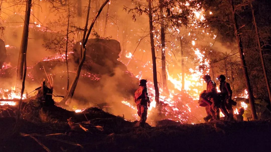森林消防员应该怎么考,云南森林消防员训练