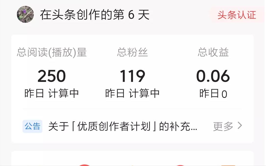新手小白头条创作11天,新手小白头条阅读量