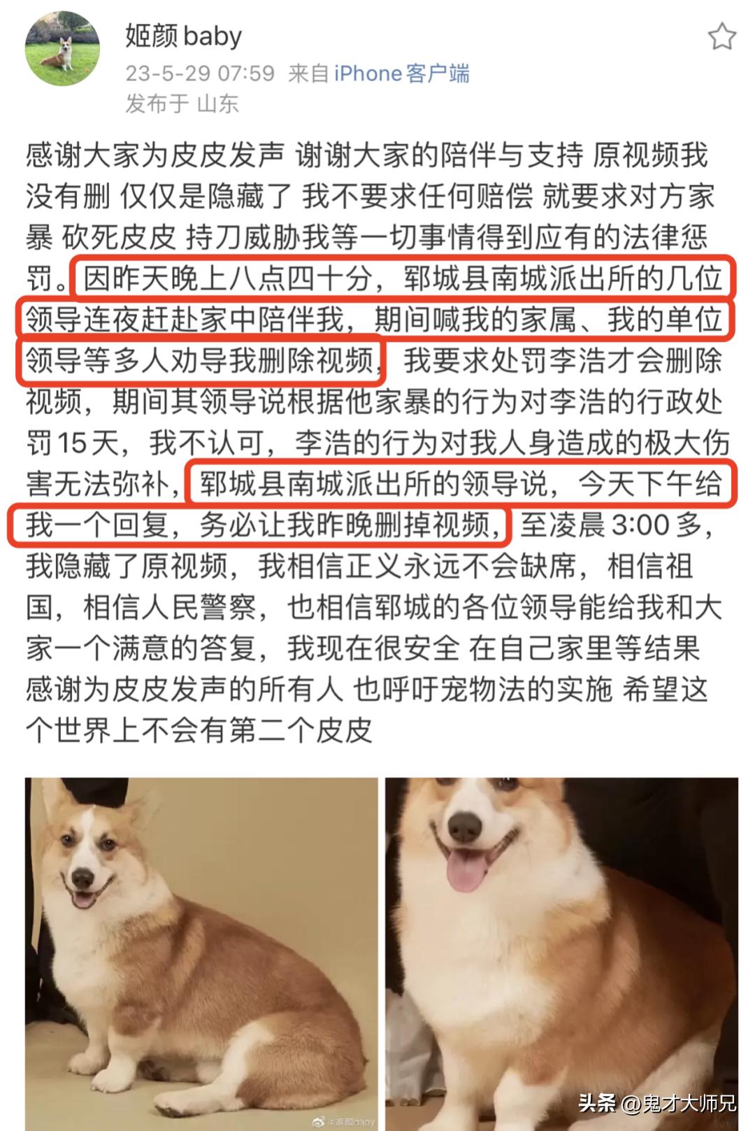 丈夫砍杀柯基暴力威胁妻子,砍杀柯基威胁妻子