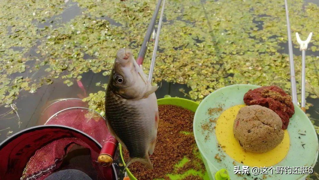 野钓调漂怎么知道调的准不准,调漂的正确方法野钓调几目