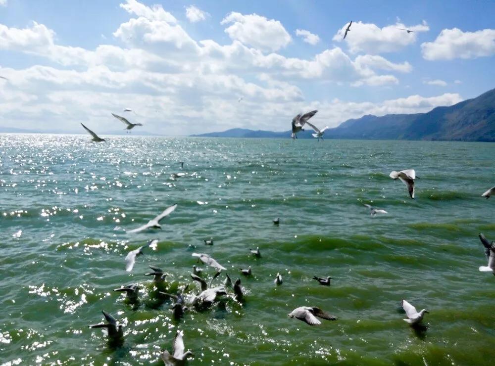 暑假去云南昆明旅游攻略图,暑假昆明3-4天旅游攻略