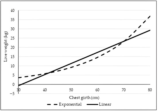索科罗岛美利奴羊羔的形态描述和体重预测