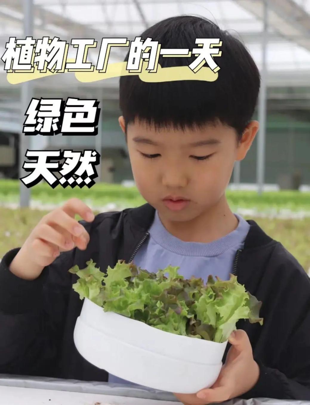 过年买给小朋友的零食礼物,致小朋友的一份礼物请查收