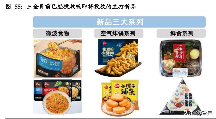 三全食品2020,三全食品研究综述
