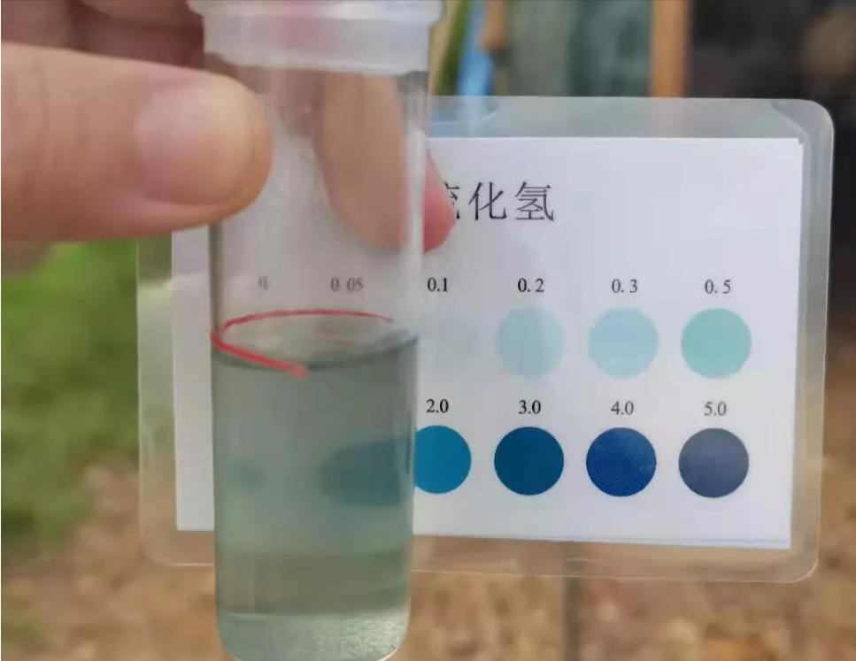 马桶硫化氢怎么处理,硫化氢处理方法