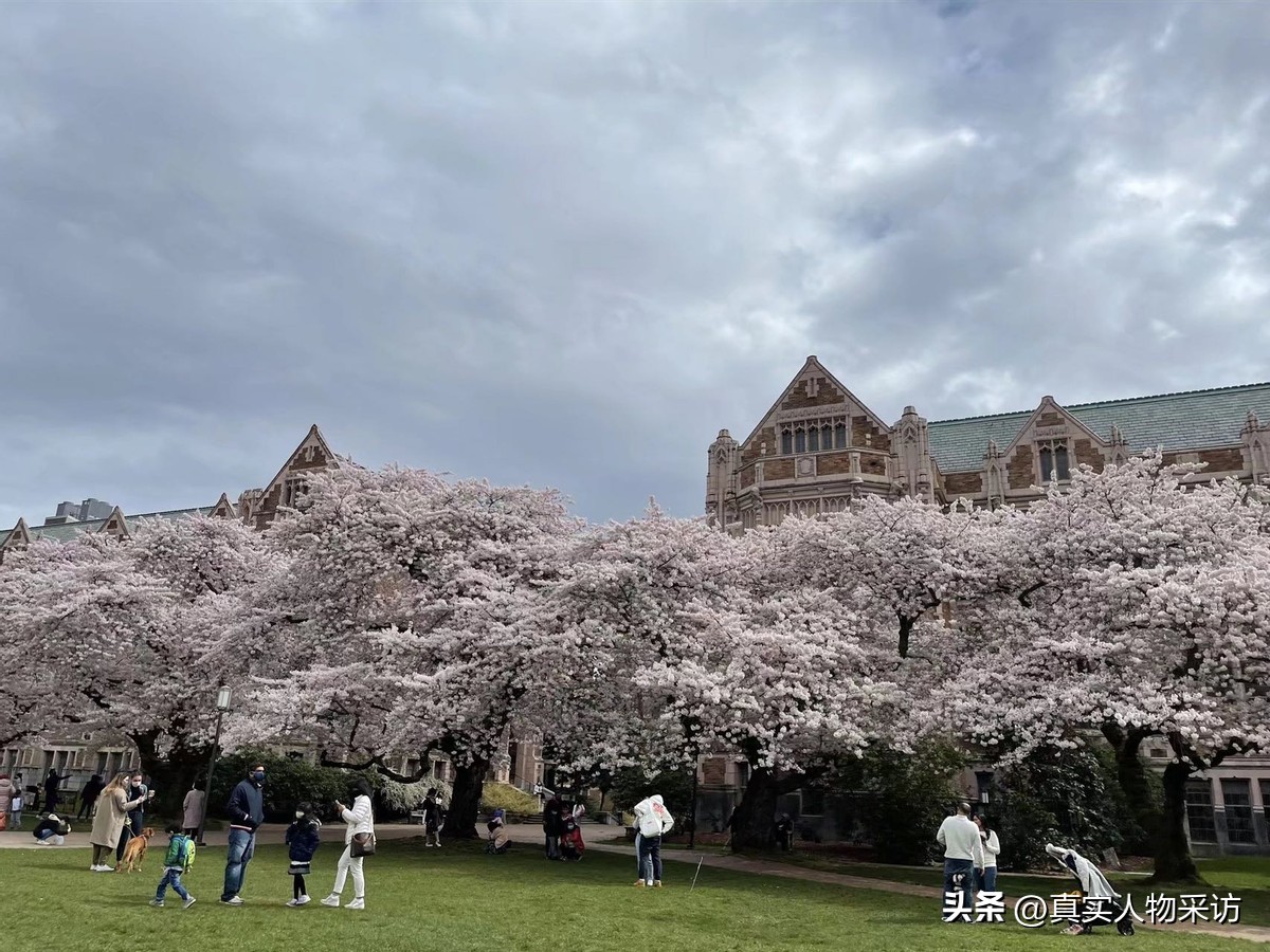 我,山东人,46岁到美国陪读,当月嫂月薪7万,还被外国人追求