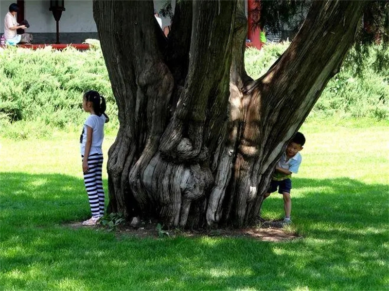 西安小伙研制隐身衣是真的吗,西安小伙研制隐形衣