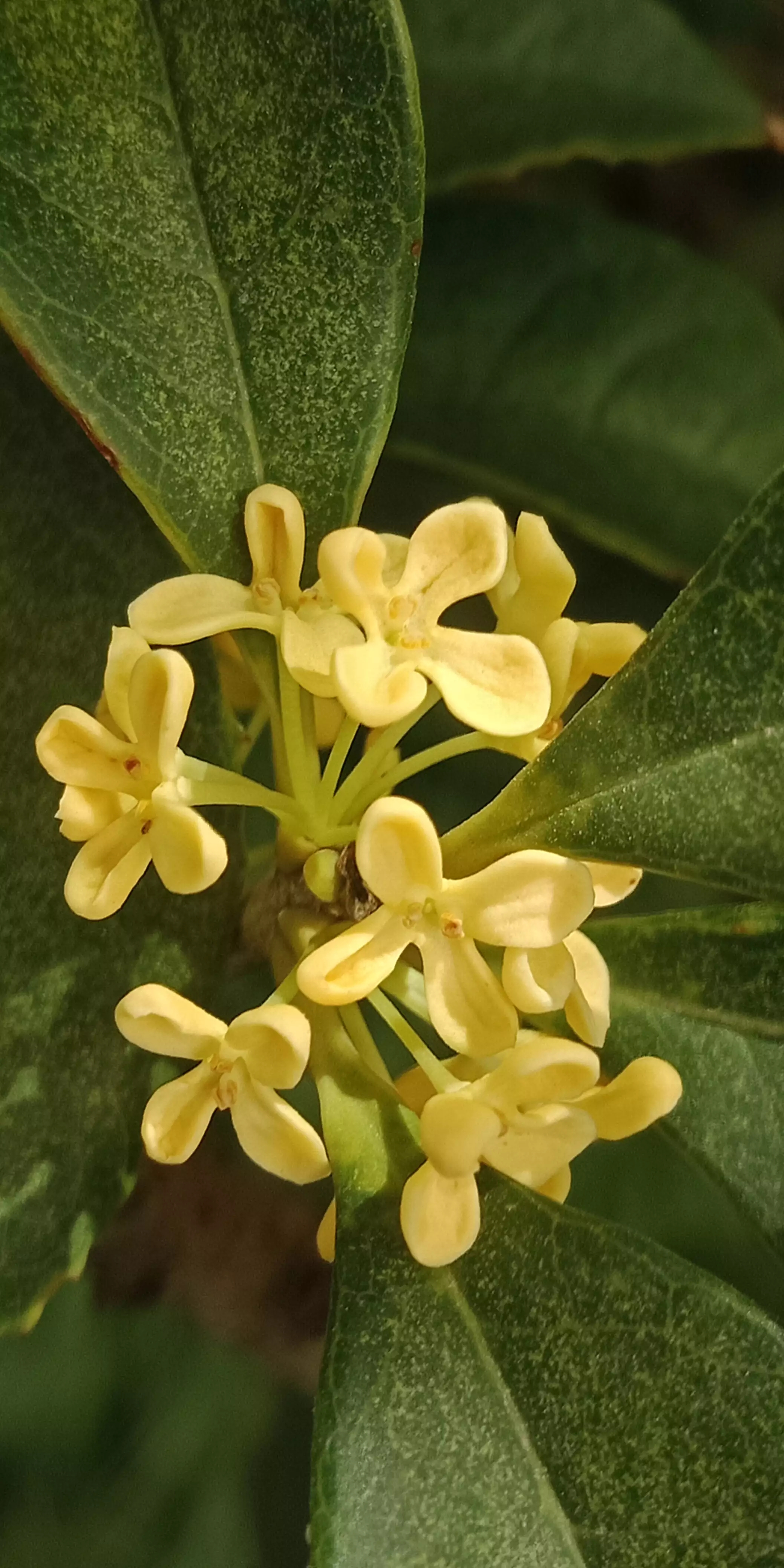 不要长时间与别人微信视频通话，有可能会耽误人家的事