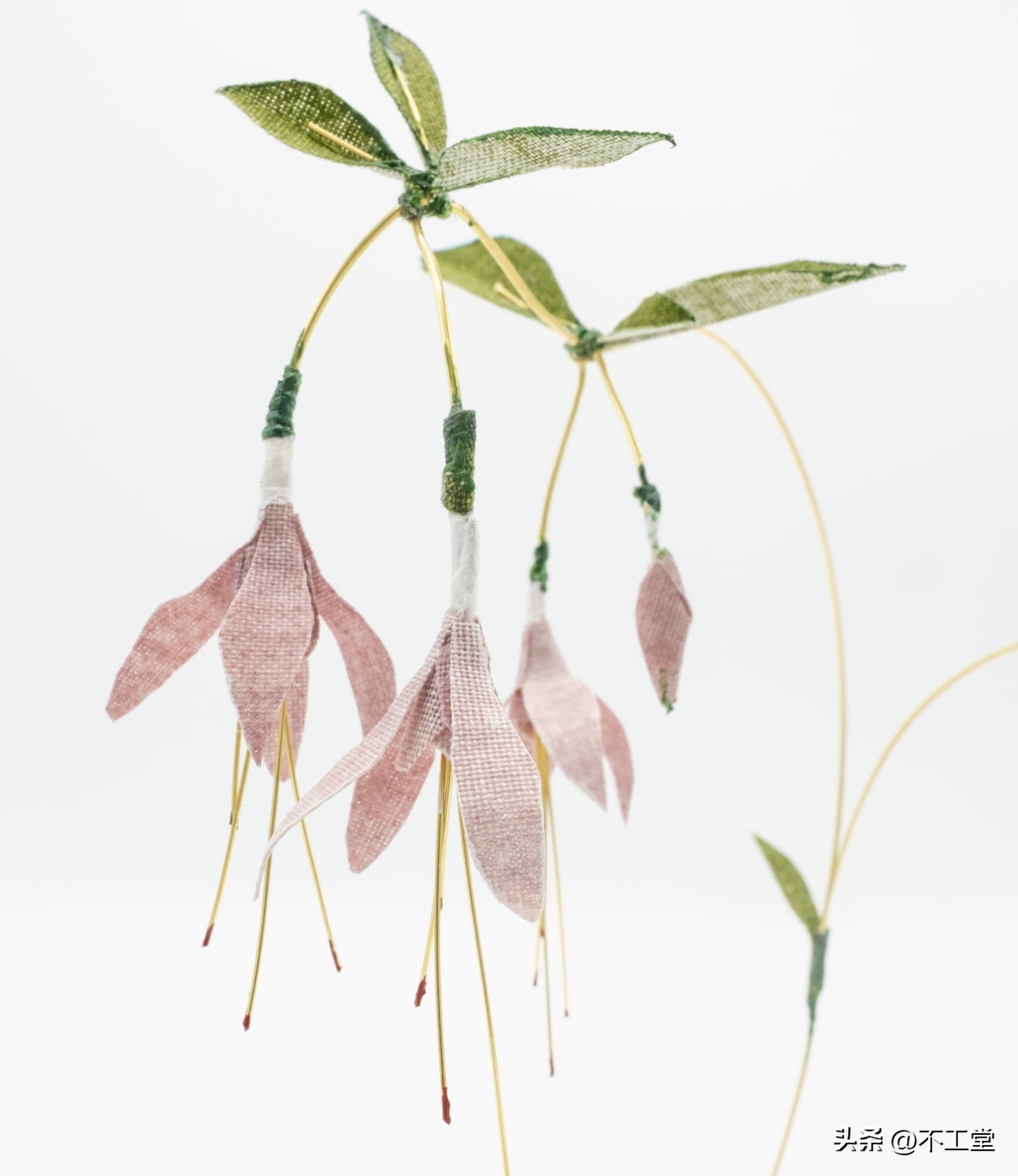 用植物标本做手工,手工压花康乃馨植物标本