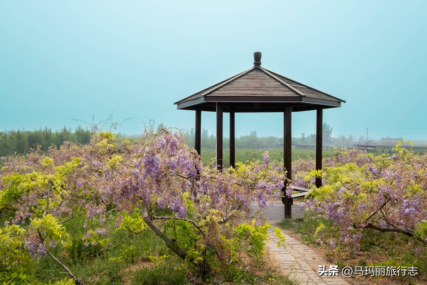 宿州到底有多好耍的地方,宿州有哪里值得去的地方