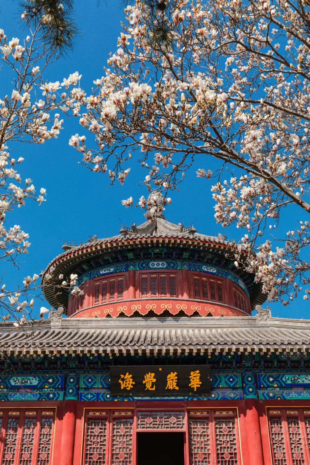 雍和宫北京最旺的古寺,不要再去人挤人的景点