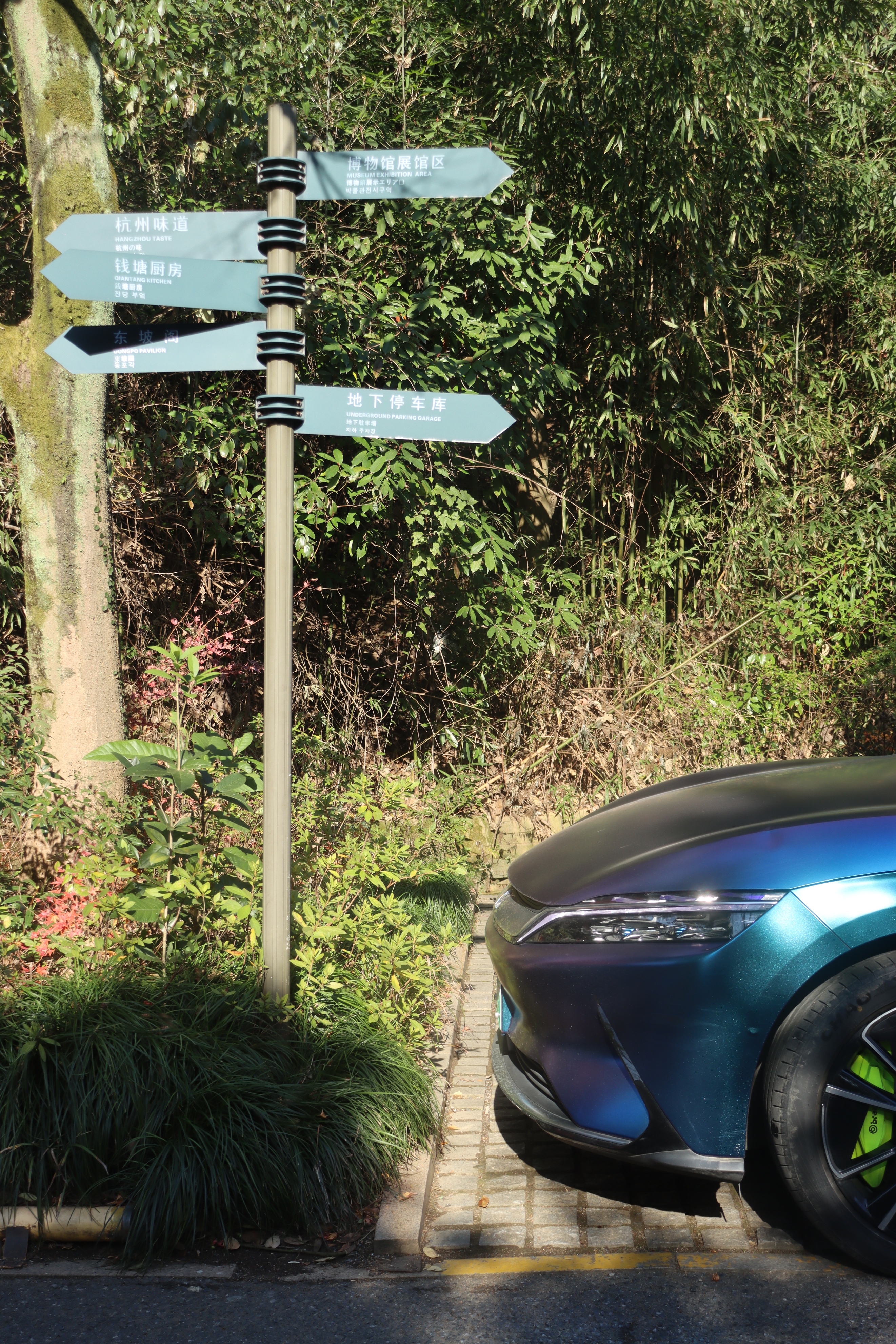 美食荒漠杭州,北京杭州美食荒漠