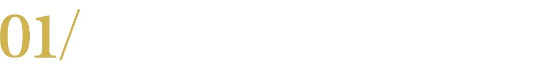 20岁卷入“陪酒门”，一夜变穷光蛋，消失十几年后，她杀回来了！