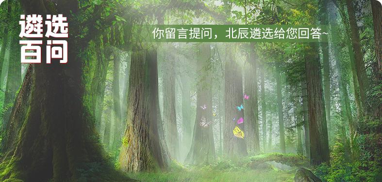 文旅局和统计局,市级文旅局怎么样