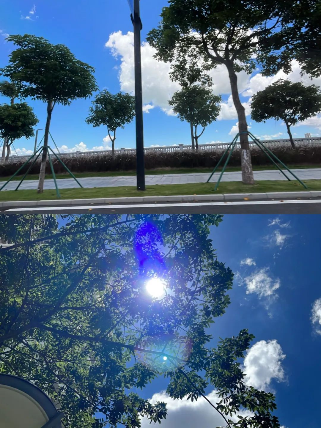 七海国际搬家靠谱嘛,七海国际海运托运