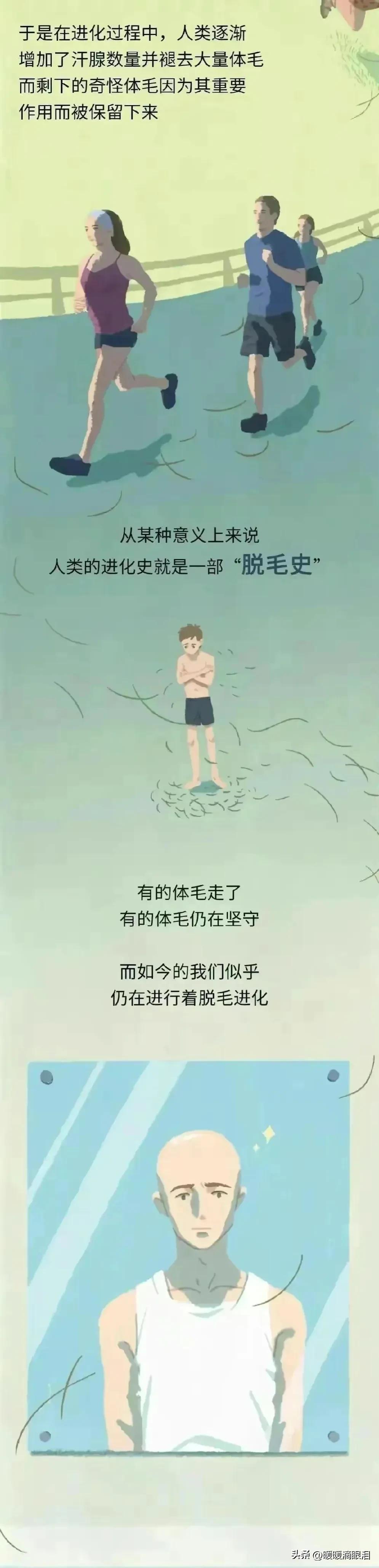 人类的毛发为什么是鳞片状,人类的毛发都是黑色的吗