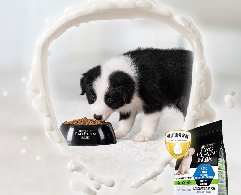 阿拉斯加幼犬狗粮排行榜,幼犬狗粮排行榜前十名