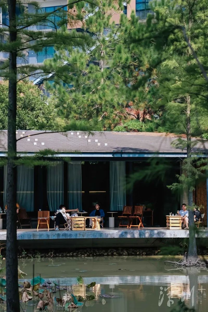 深圳装修咖啡店设计推荐，参考设计！