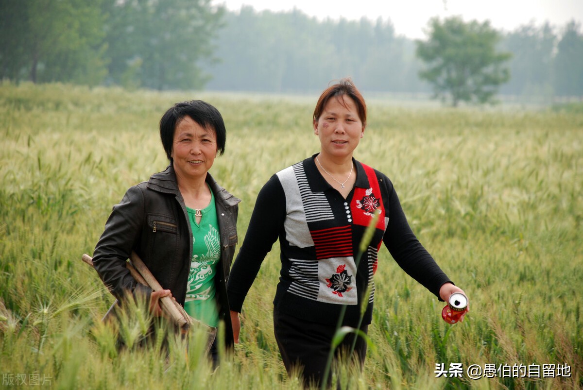 重男轻女的母亲后悔道歉,女儿经常语言伤害母亲该原谅吗