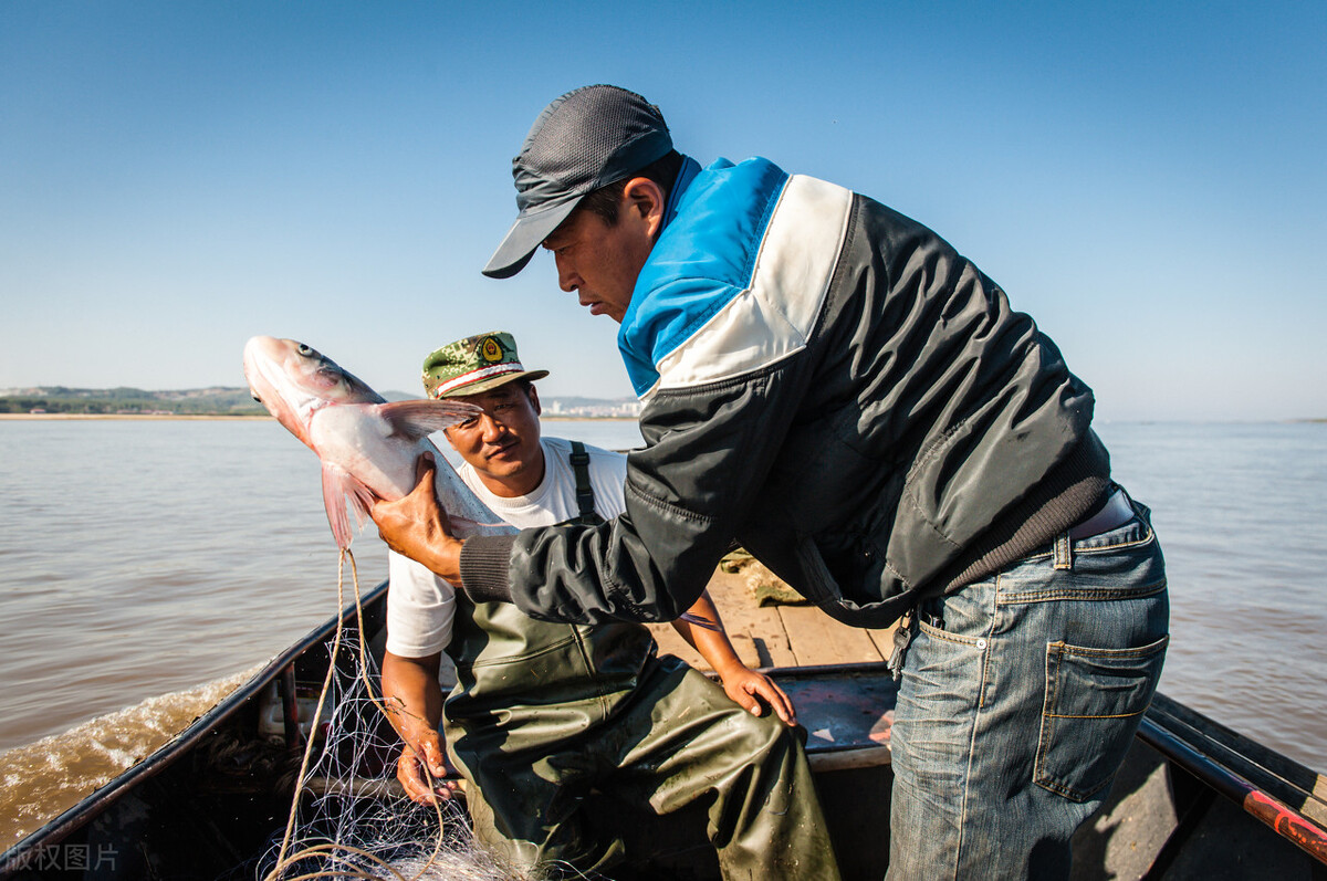黑龙江省都有哪些城市有机场,黑龙江拥有高铁和飞机的小镇