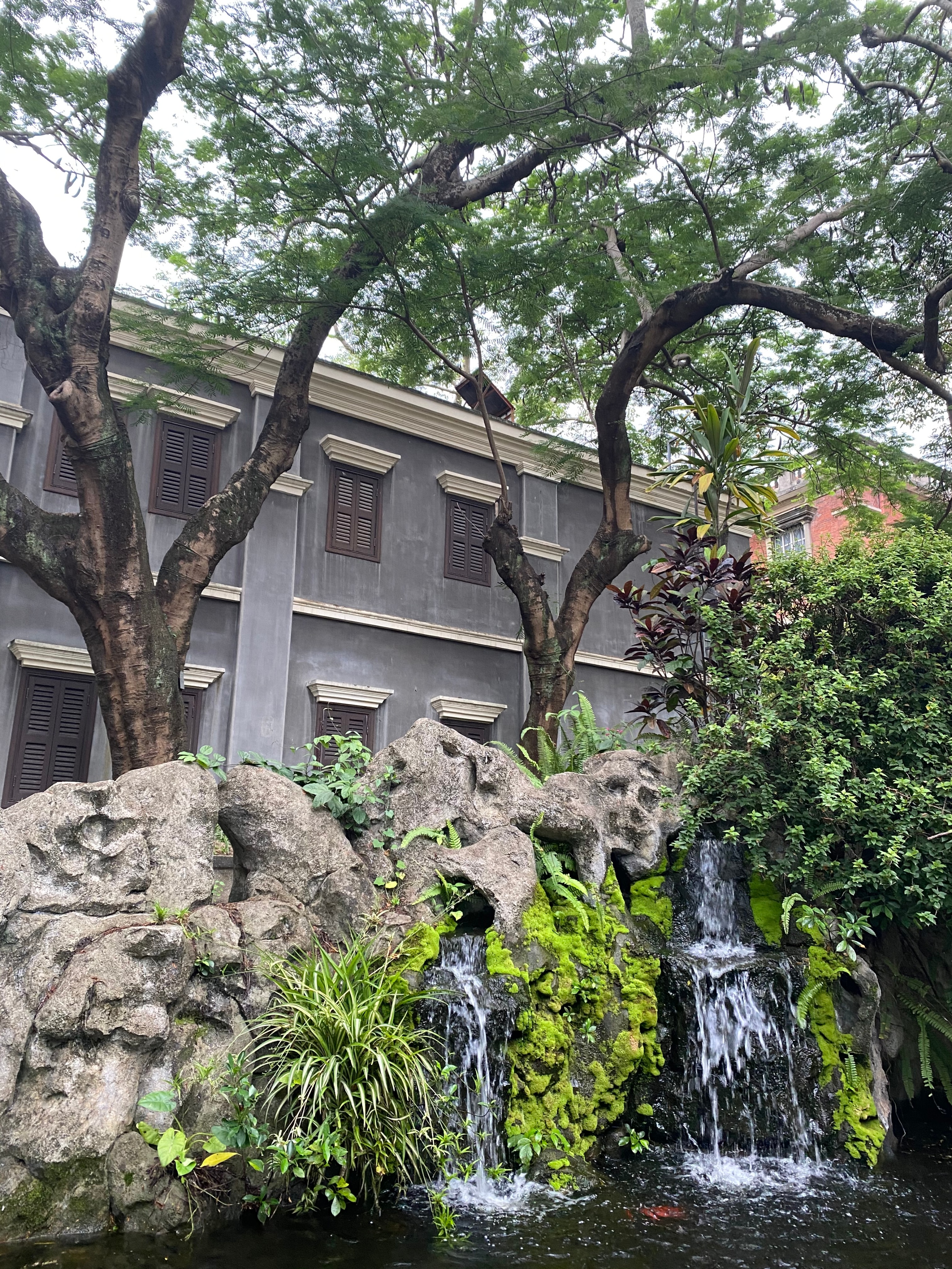 鼓浪屿民宿好不好做,住鼓浪屿民宿什么体验