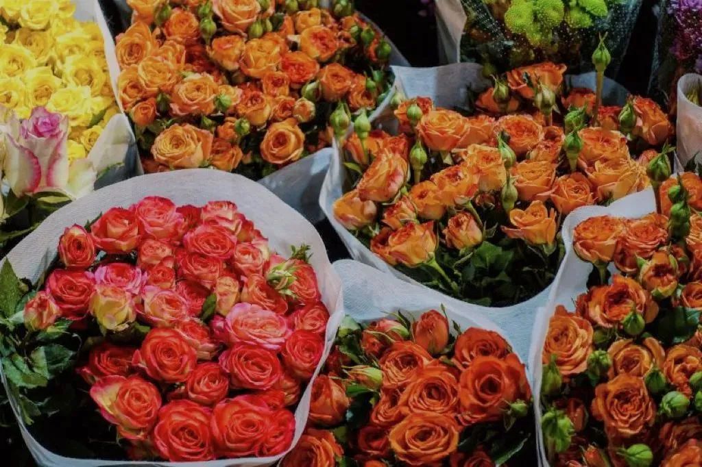 济南花市排名,济南赏花打卡地