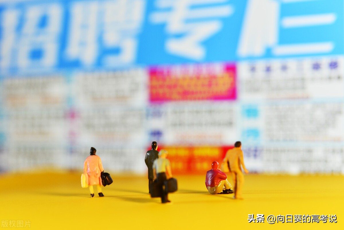 文科专业比较好就业的专业有哪些,文科十大吃香的专业是什么专业