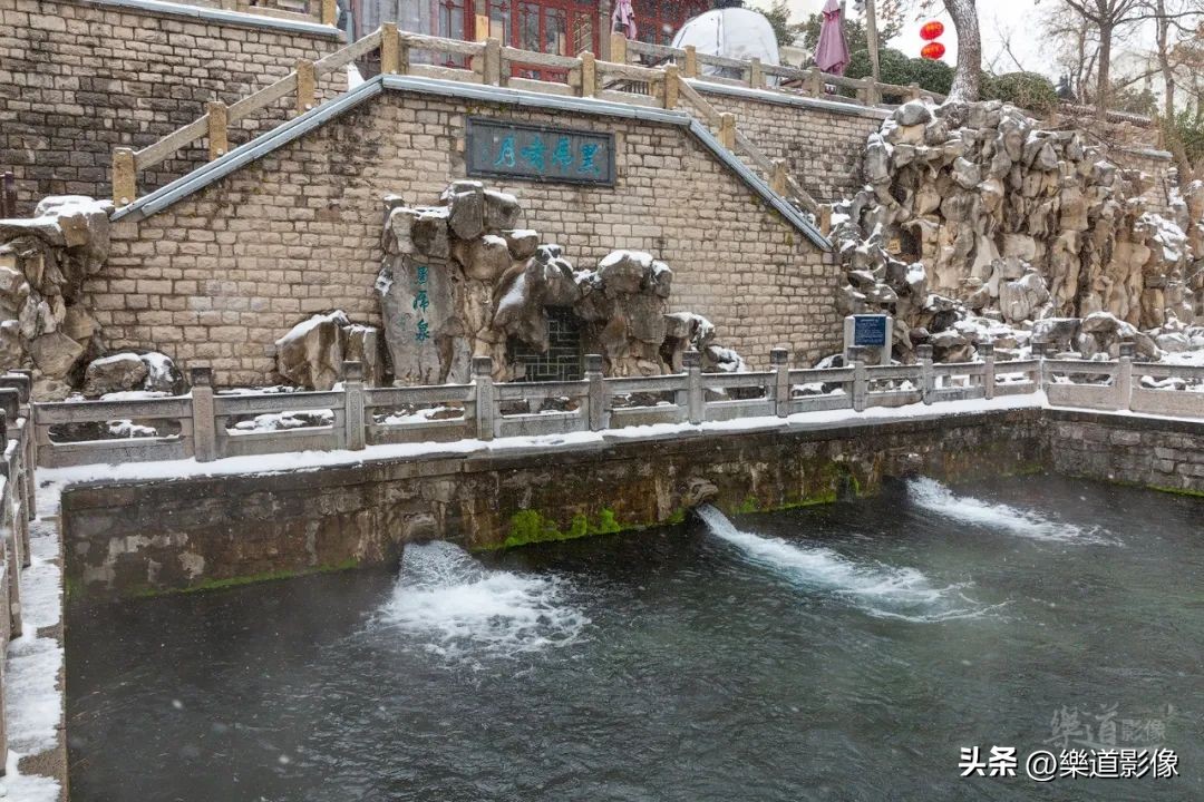 济南的冬天导语,济南的冬天满眼荒凉