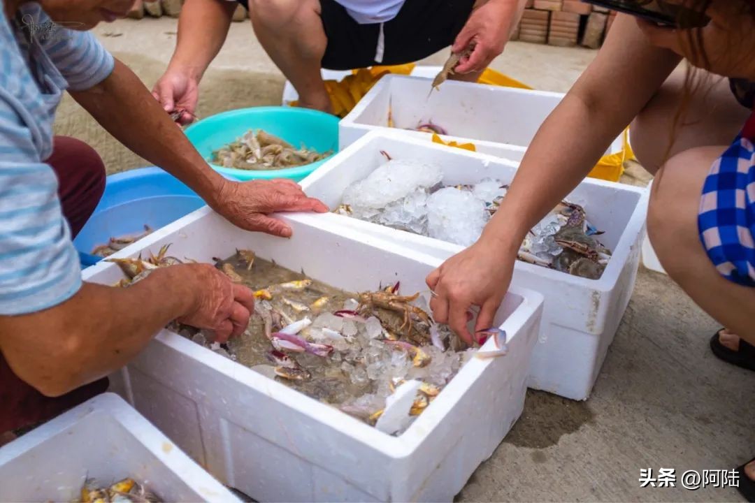去舟山朱家尖住哪里方便,自驾游到舟山朱家尖怎么安排住宿