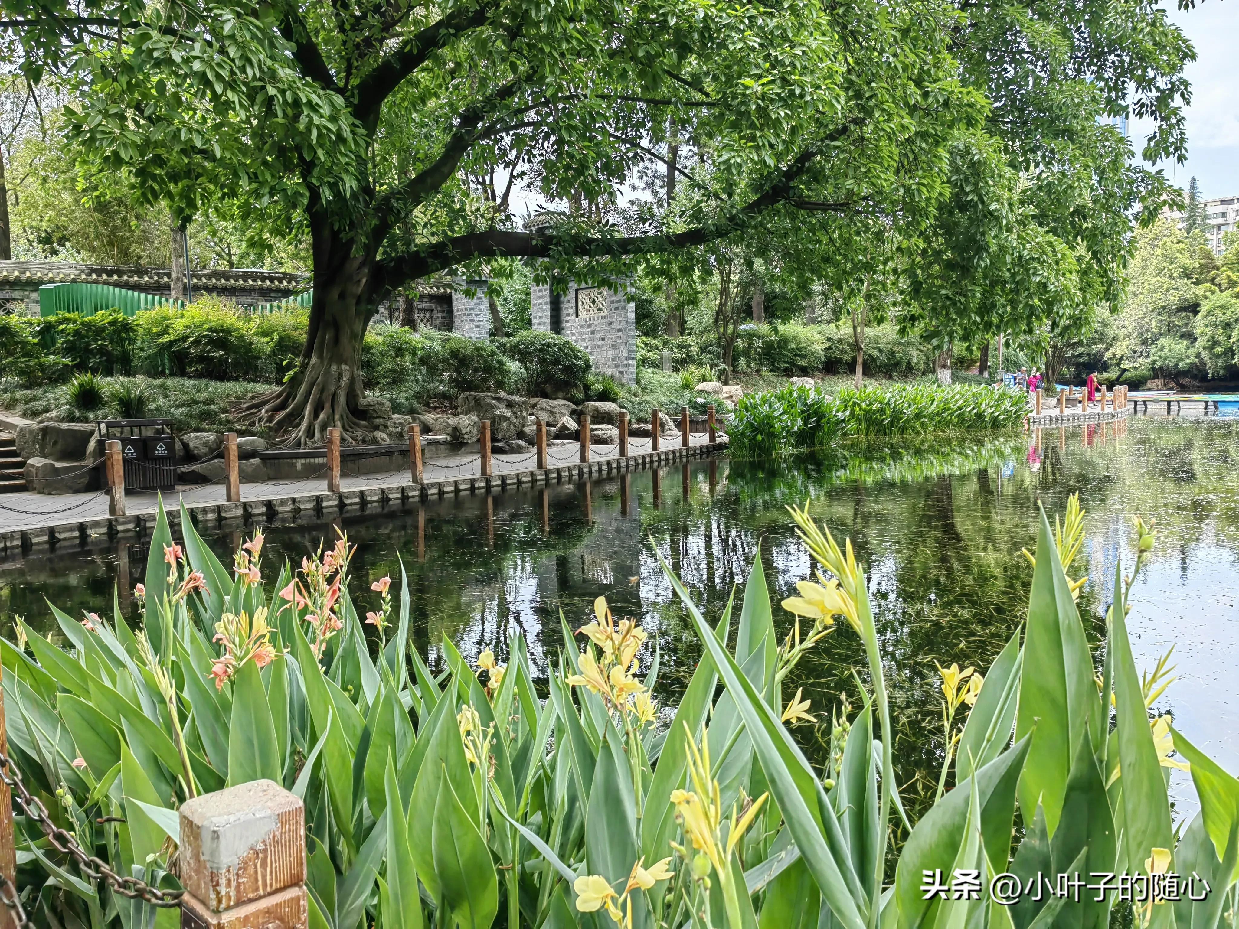 成都三日游旅行团报价,成都三日游旅游线路攻略图