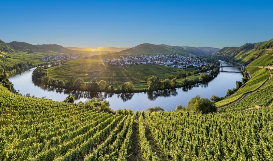 德国雷司令白葡萄酒,德国红酒雷司令