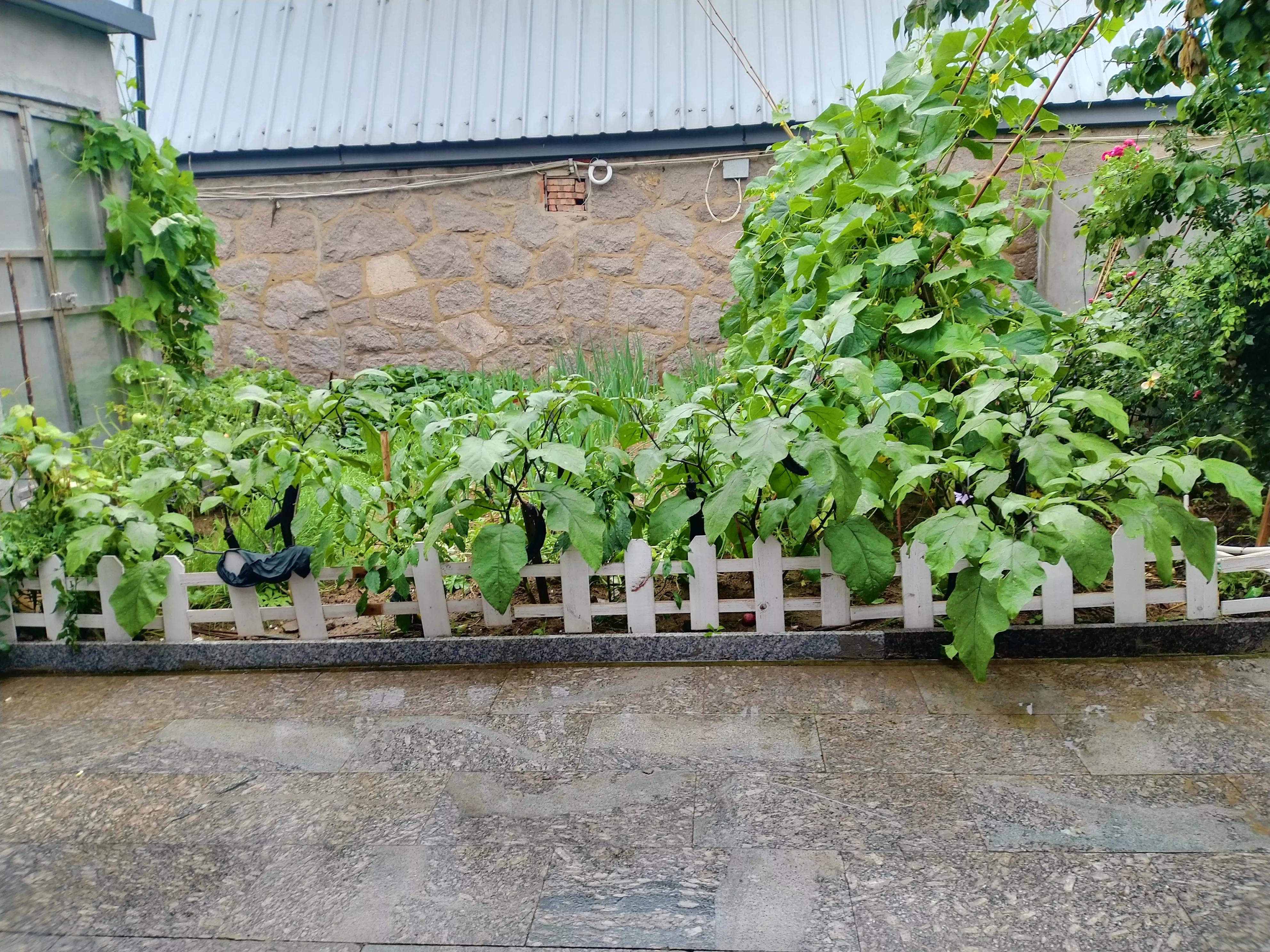 农村电力局上门装电力板有补贴吗,农村安装电热板电费优惠吗