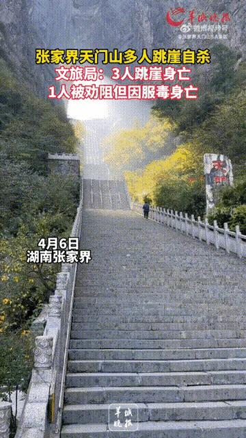 死都不怕还有什么不能过？天门山四个年轻人跳崖，到底有什么梗？