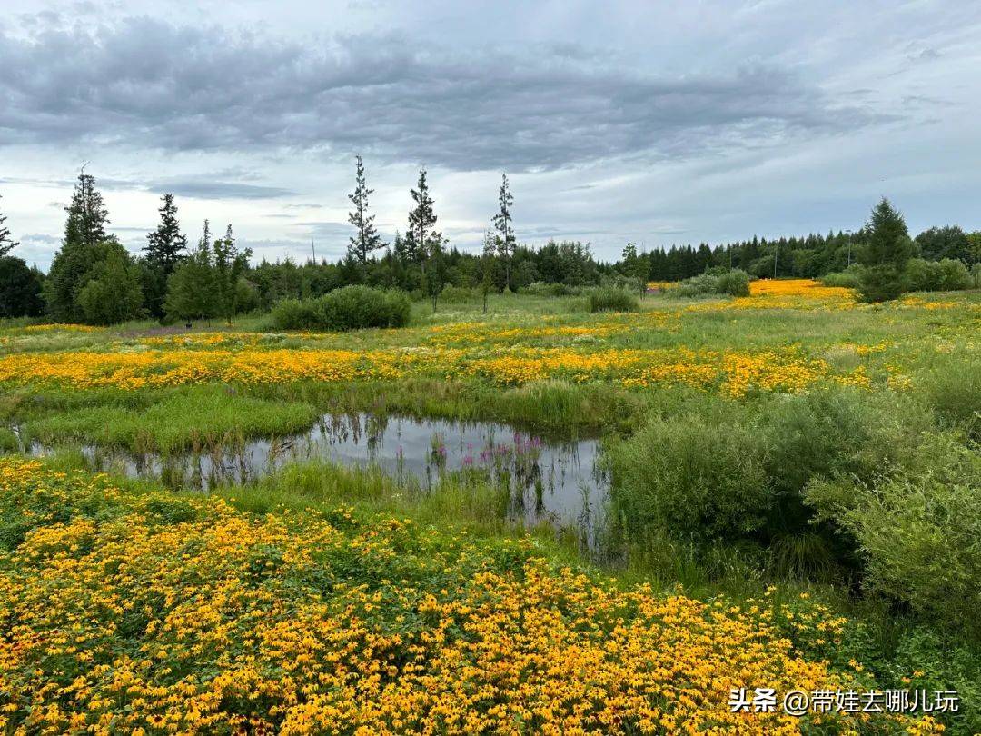 长白山二道白河旅游攻略7月游,自驾二道白河长白山旅游攻略