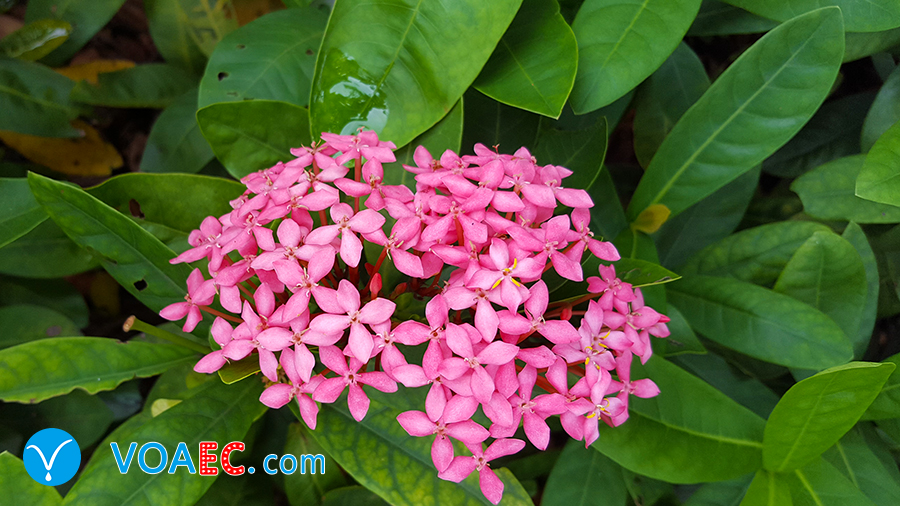 sleeplate到底是熬夜还是睡懒觉,sleepsleep什么意思