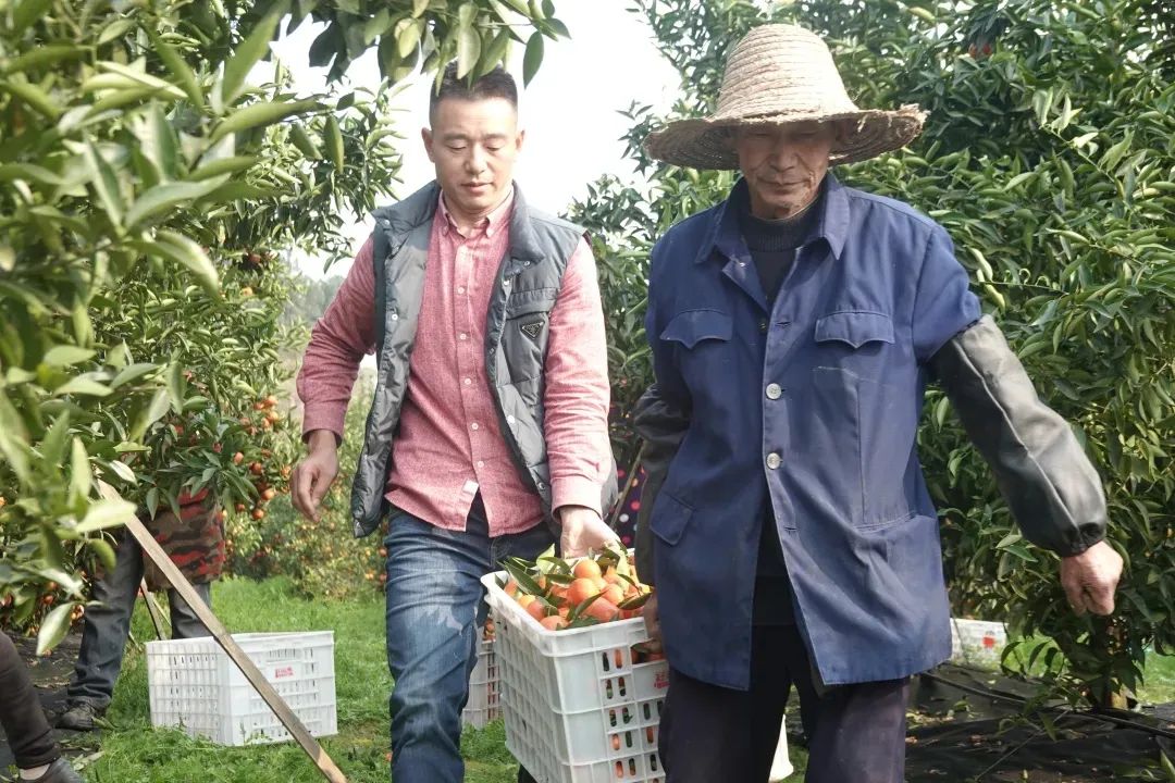 大数据！成都人吃瓜全国第一！