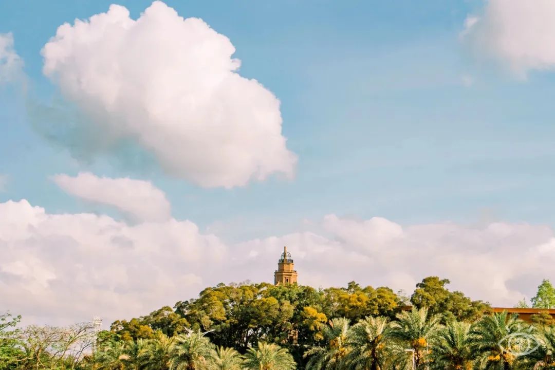 深圳有特色的旅游地,广东深圳特色风景