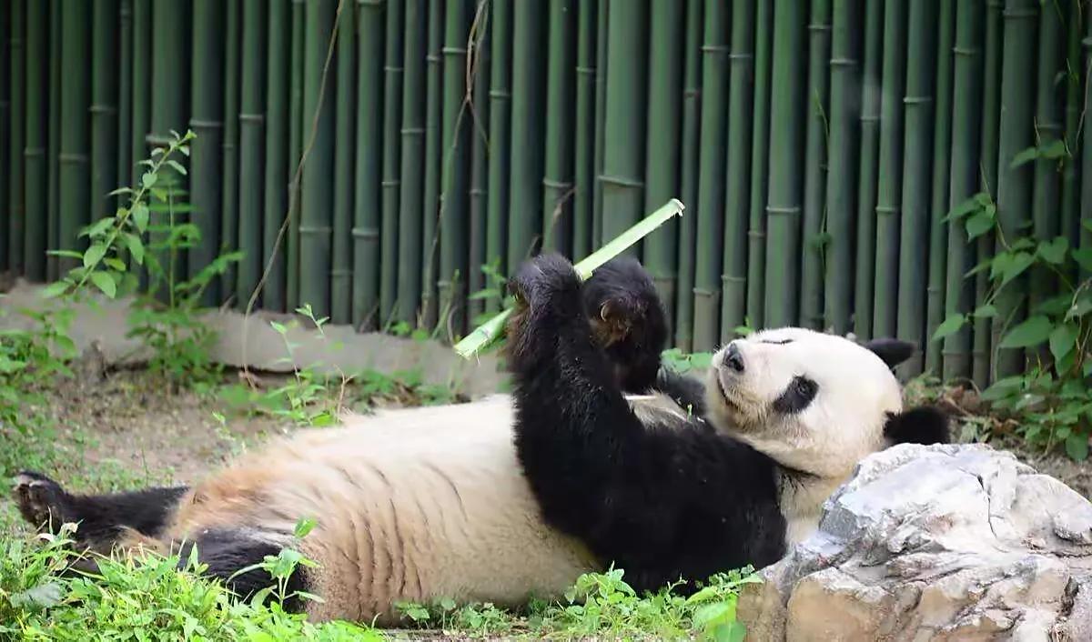 我是来医院消费的！我是上帝