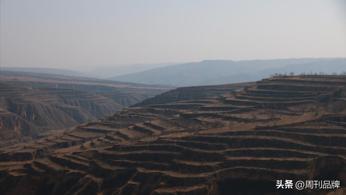 白家湾印象——打麦场与老槐树
