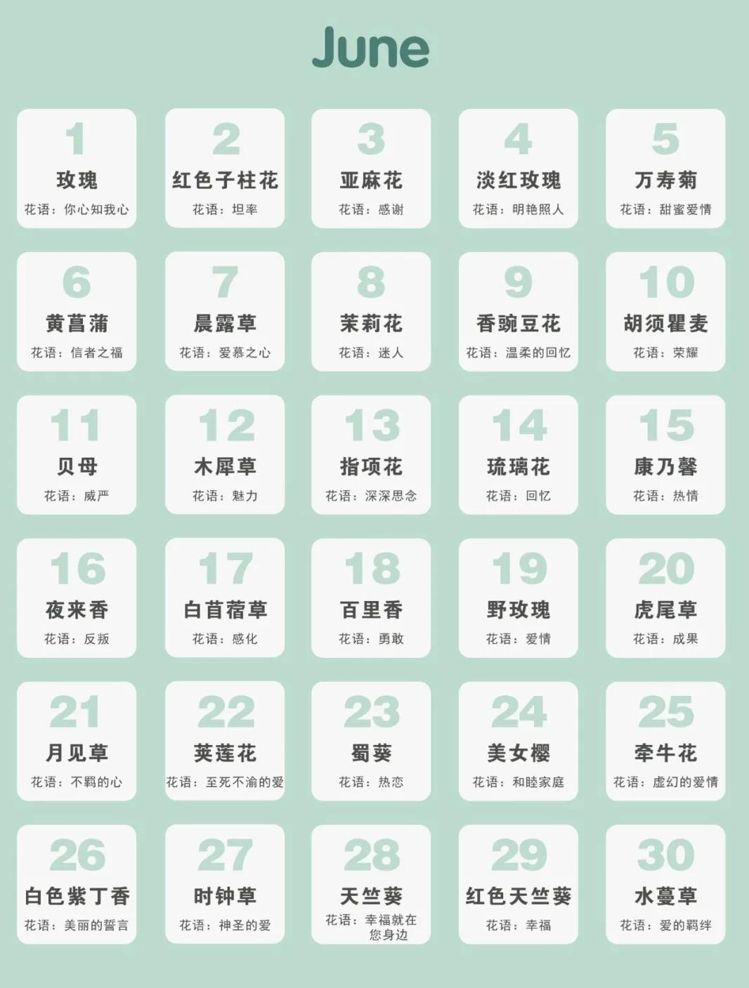 365生日花语大全,关于生日的花的花语