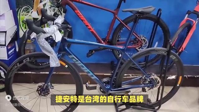 2023年公路自行车哪个牌子好