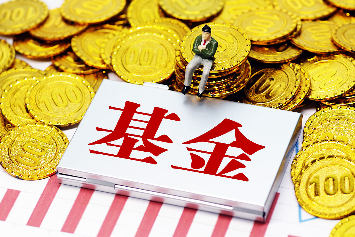 1000本金低风险基金收益,什么基金风险高收益也高