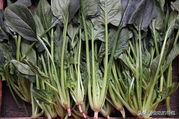 小满后适合吃什么,小满时期老人营养均衡吃什么