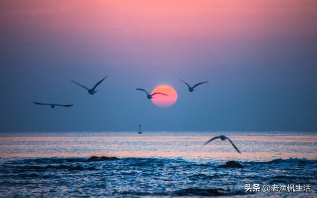 孩子的高考成绩出来了孩子哭了,高考成绩出来后家长的反应真实