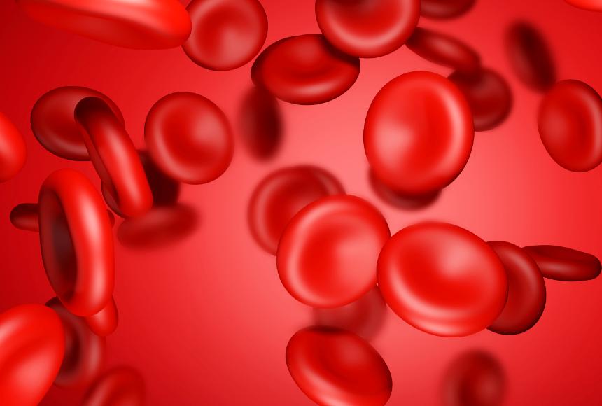 维生素k缺乏的凝血表现,维生素k对何种出血无效