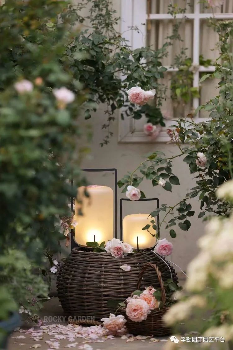 第八届园丁奖露台组《030号》洛基花园