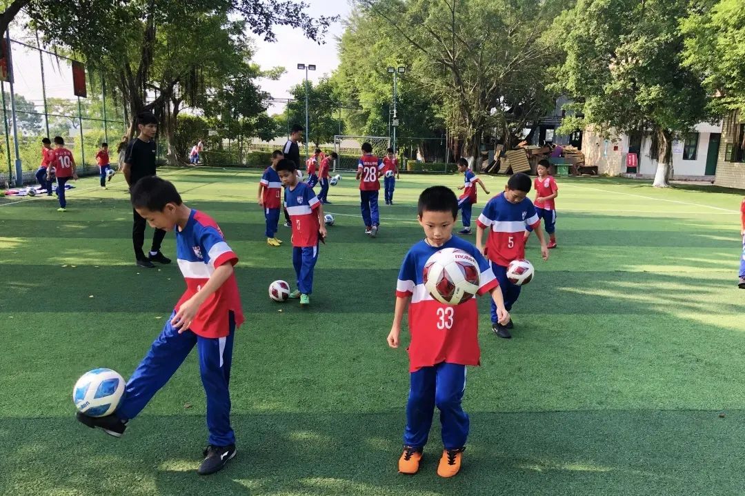 全国青少年校园足球联赛2024校园,全国青少年校园足球联赛东南赛区