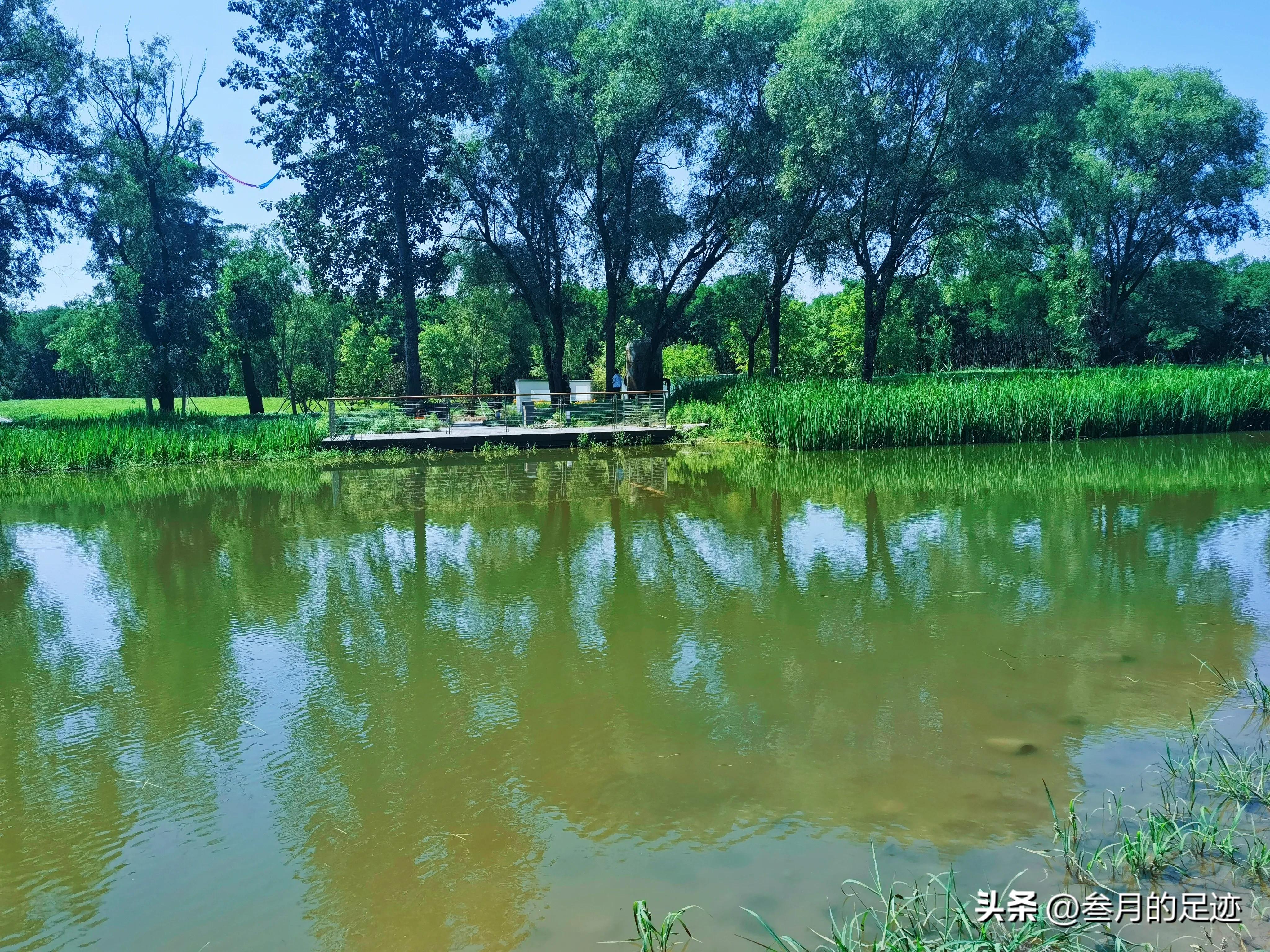 北京有哪些免费的大型公园,北京有铁道的公园