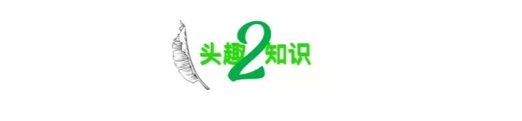 被挂上热搜的上海,去上海买网红m豆