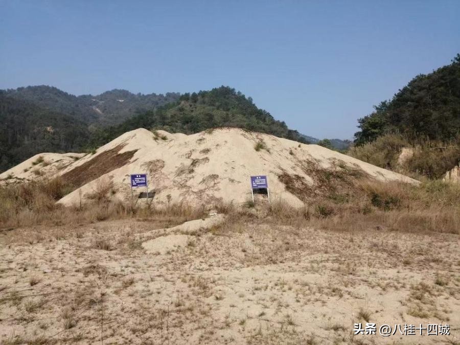 滩上盗采黄沙案,非法盗取河沙案处罚